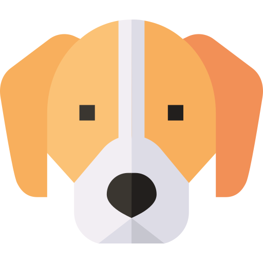 Extra Pet Hair Detailing
